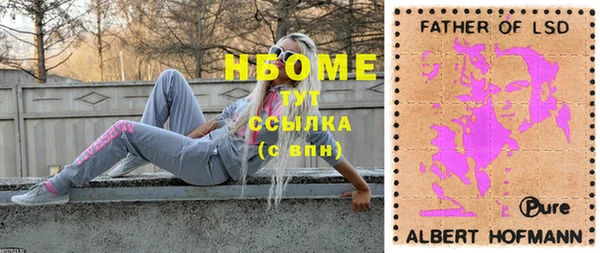 мдпв Арсеньев
